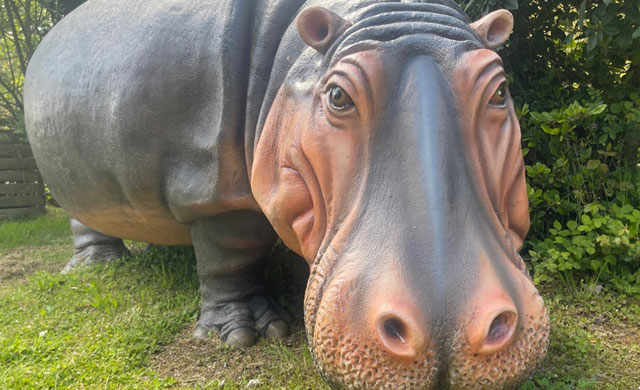 Life sized hippopotamus model